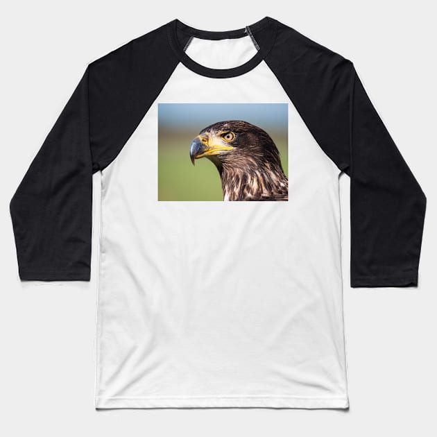 Close-up of an immature American bald eagle Baseball T-Shirt by Dolfilms